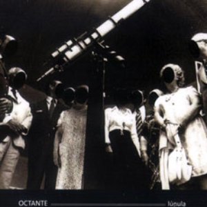 Octante 的头像