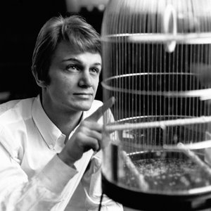 Claude François için avatar