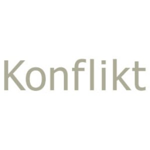 SR P1 Konflikt 的头像