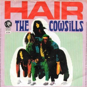 Hair / What Is Happy?