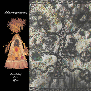 albumhoes Harvestman - Lashing The Rye