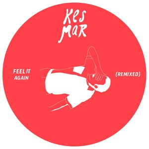 Feel It Again (Remix)