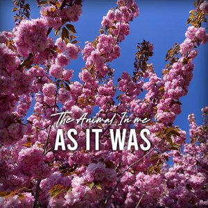 As It Was - Single