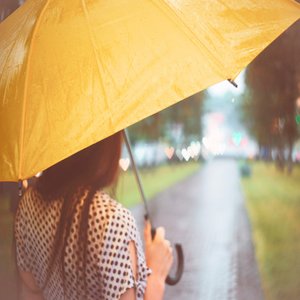 Spring rain is falling