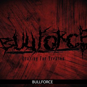 Bull Force 的头像