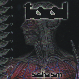 Tool - Schism [single] - Zortam Music