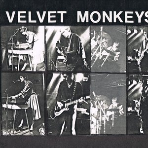 The Velvet Monkeys 的头像