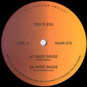 Voice Inside