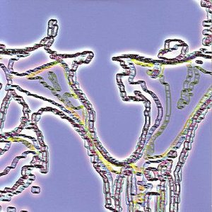 Transiency
