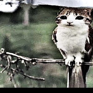 Comftability Is My Killer - Single