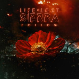 Follow - Single