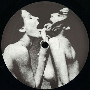 Gotta Hold On Me / Wildman