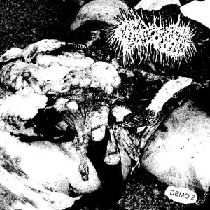 Demo II