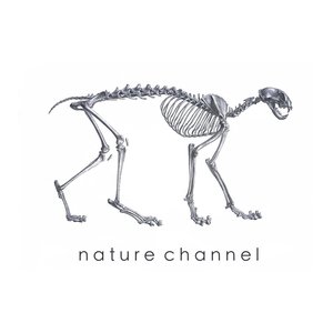 Nature Channel