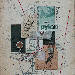Pylon