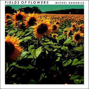 Fields Of Flowers