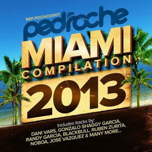Pedroche Miami Compilation 2013
