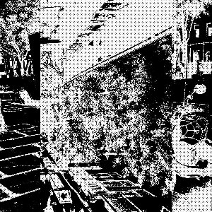 Blot