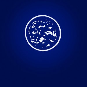 To the Moon: Phase IV