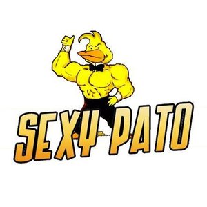 Sexy Pato 的头像