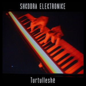 Turtulleshë - Single