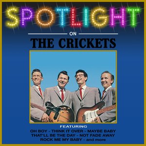 Spotlight On The Crickets