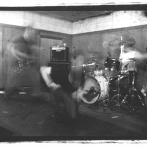 Saetia photo provided by Last.fm