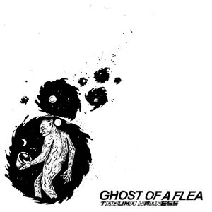 Ghost of A Flea