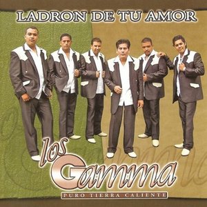 Ladrón de Tu Amor