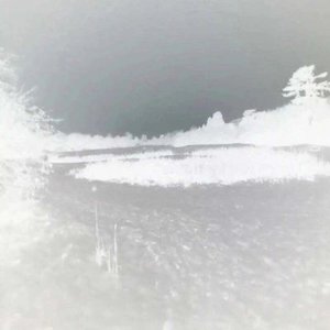 Desert Mokey 的头像