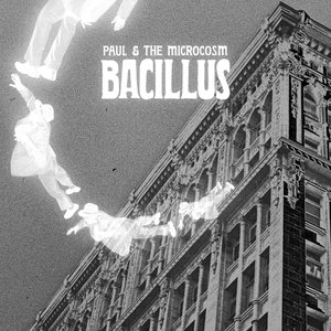 Bacillus