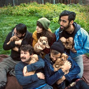 Knuckle Pups 的头像