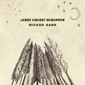 Artwork for Wicked Game (Live at St Canice Cathedral, Kilkenny)