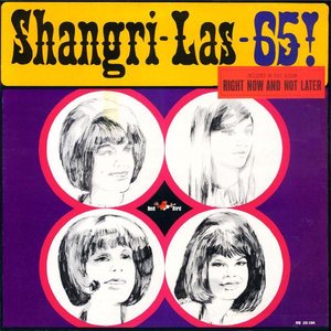 Изображение для 'Shangri-Las-65!'