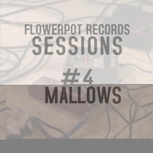 Flowerpot Records Sessions #3: Mallows - EP