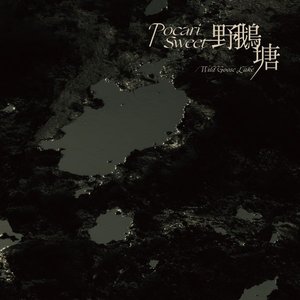 Wild Goose Lake - Single