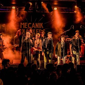 Avatar for Mecanik Skankers