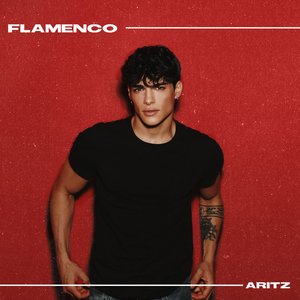 Flamenco