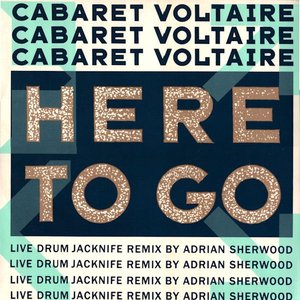 Here To Go (Live Drum Jacknife Remix By Adrian Sherwood)