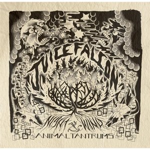 “Night Wind & Animal Tantrums”的封面