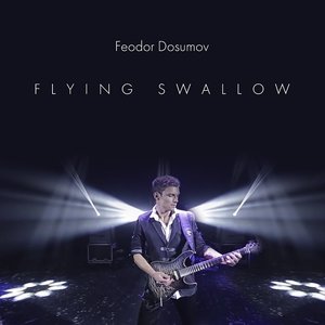 Flying Swallow