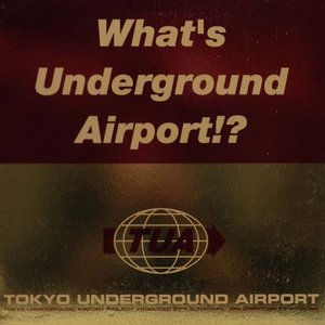 tokyo underground airport