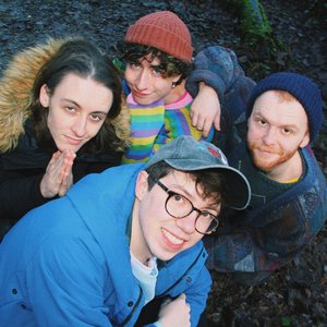 Avatar de Bears in Trees
