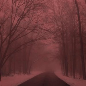 foggy winter
