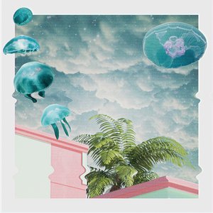 Jellyfishes