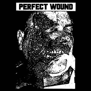 Perfect Wound