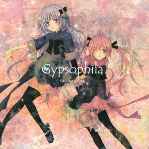 Gypsophila