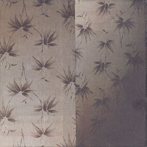 There Is A Flaw In My Iris