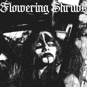 Flowering Shrubs 的头像
