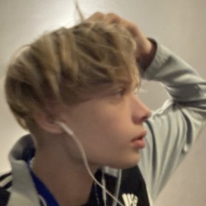 F1ns 的头像